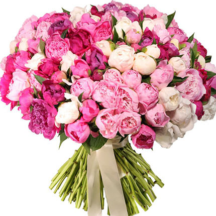 101 multicolored peony