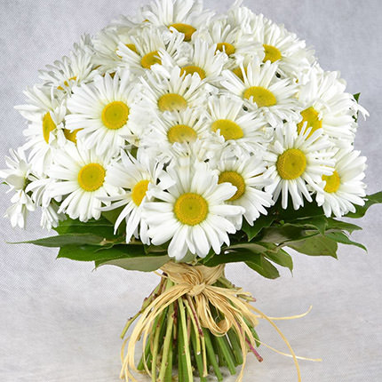 Букет "25 сонячних ромашок"