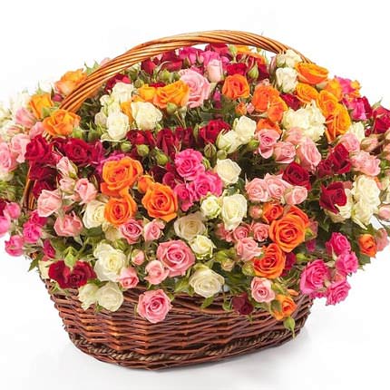 Basket "101 multicolored spray rose"