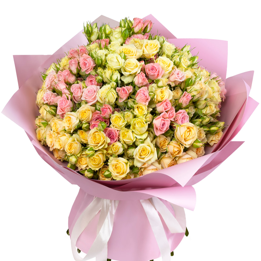 "Rose Planet" mix of 51 bush roses