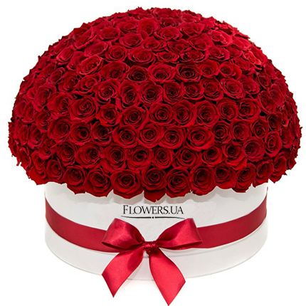 Flowers in a white box "151 red roses"