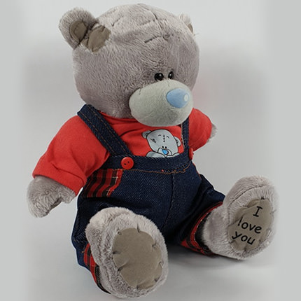 Teddy Bear (boy) 20 sm