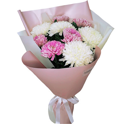 9 белых и розовых хризантем