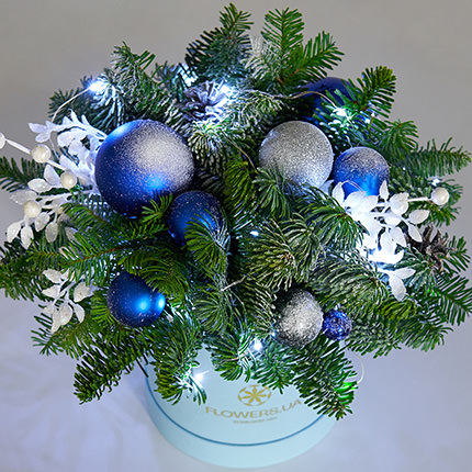 Composition with garland "Winter shine"