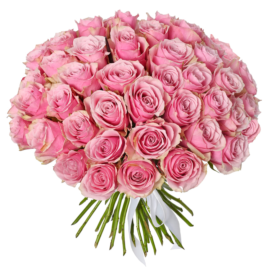 51 роза Athena Royale (Кения)