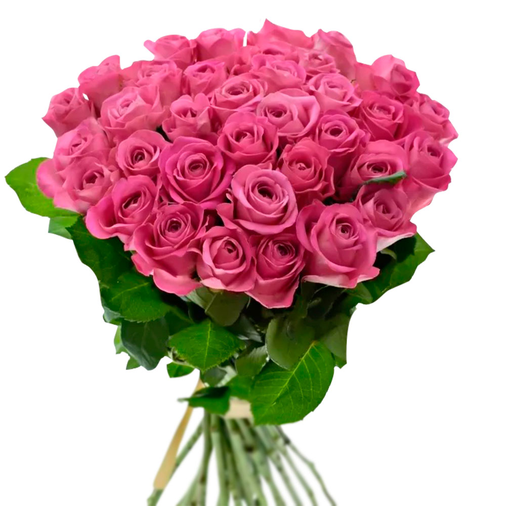 35 pink roses (Kenya)