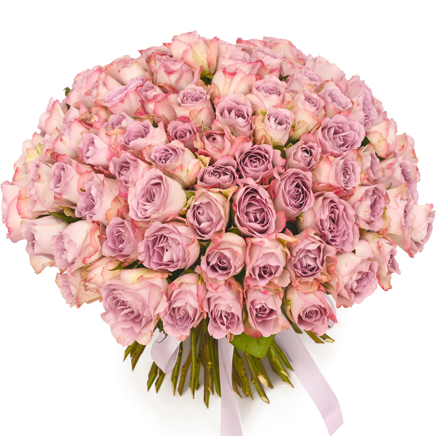 101 троянда Memory Lane (Кенія)