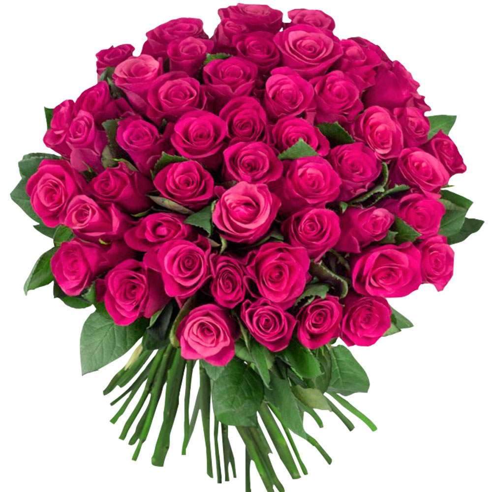 51 Cherry-O roses (Kenya)