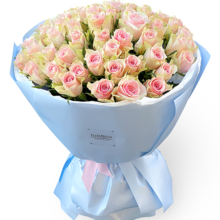 51 троянда Pink Athena