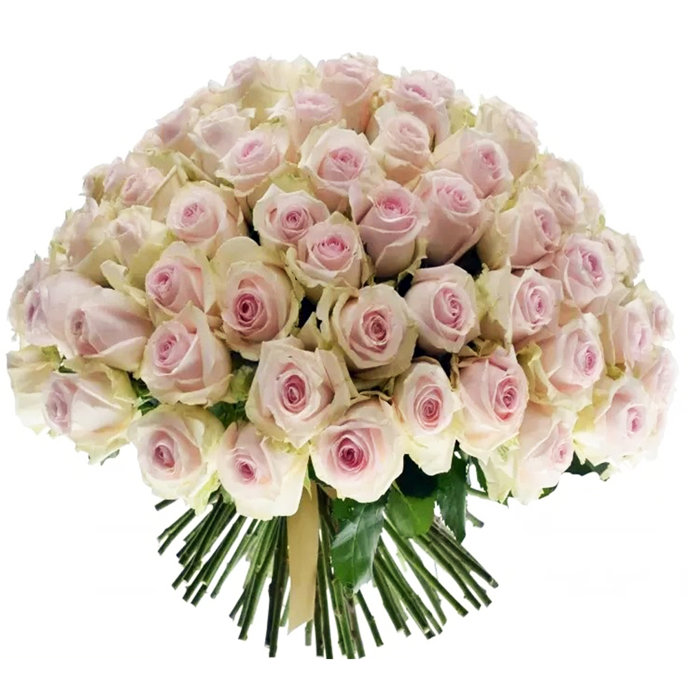 Букет “101 троянда Revival Sweet”