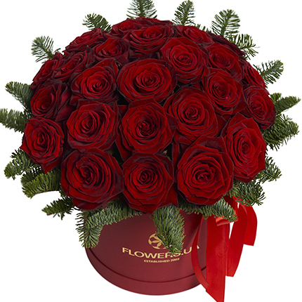 Цветы в коробке "Рождественская звезда"