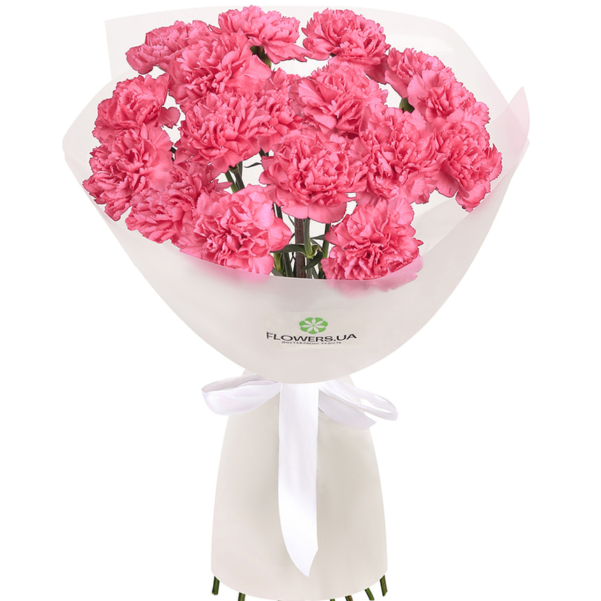 Букет "Фламінго" з 17 рожевих гвоздик