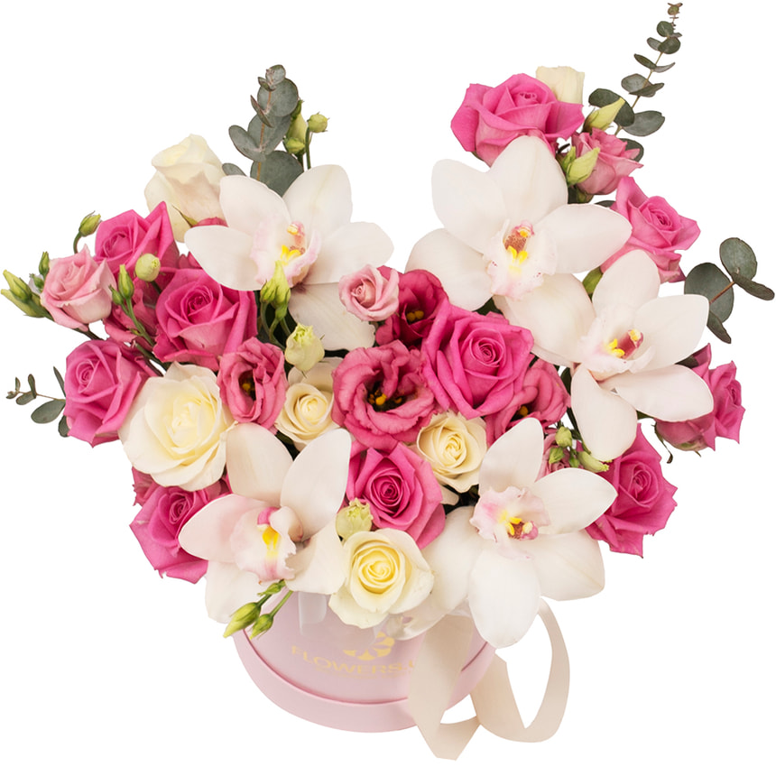 Composition "Kacey Cisyk"