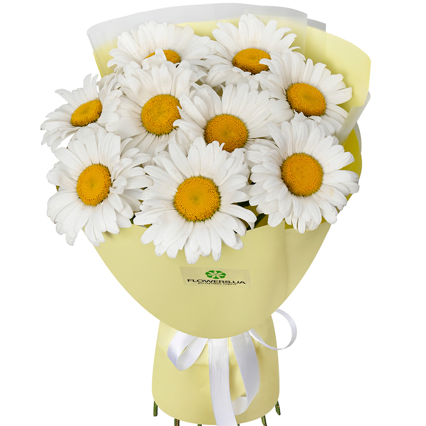 "9 daisies" bouquet