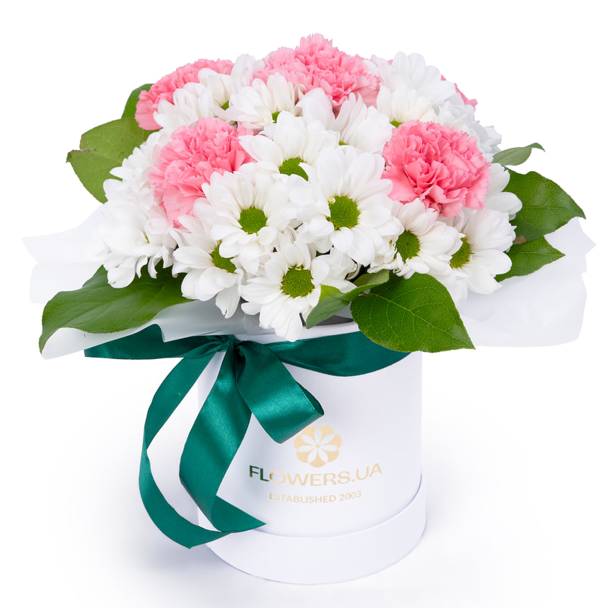 Composition "Summer Cloud"