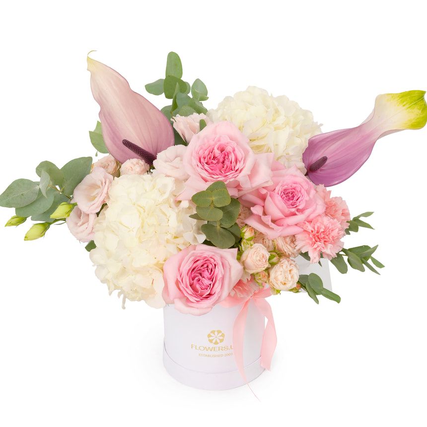 "Caroline" composition