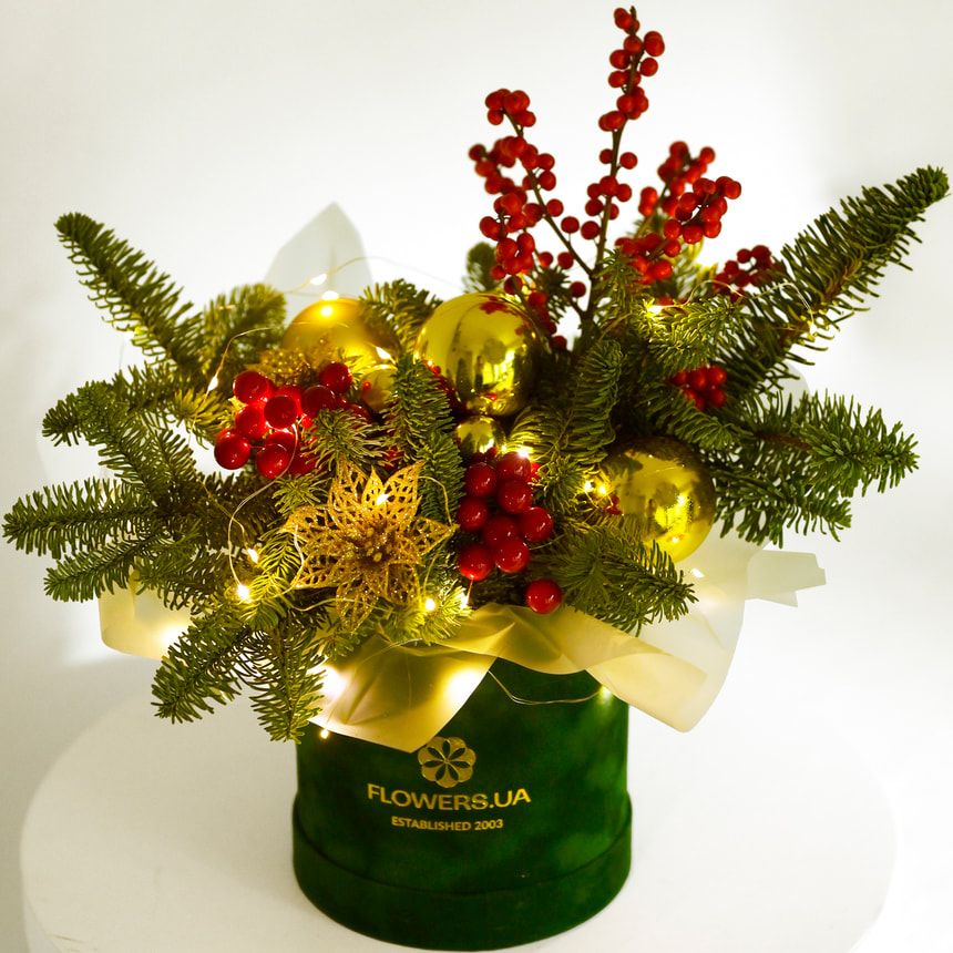 Композиція "Зимовий стиль"