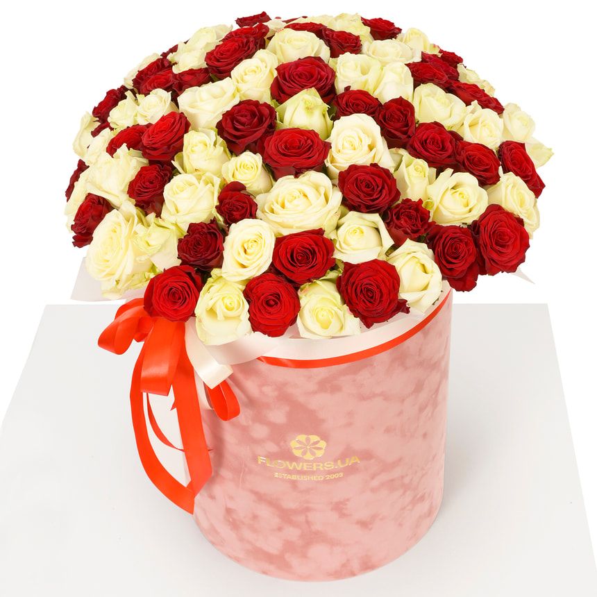 "Queen of Sheba" composition of 101 roses