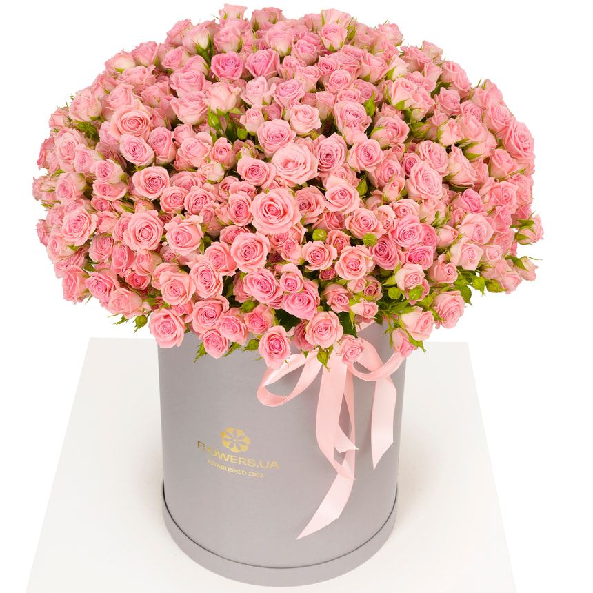 Композиция "Pink Sound"