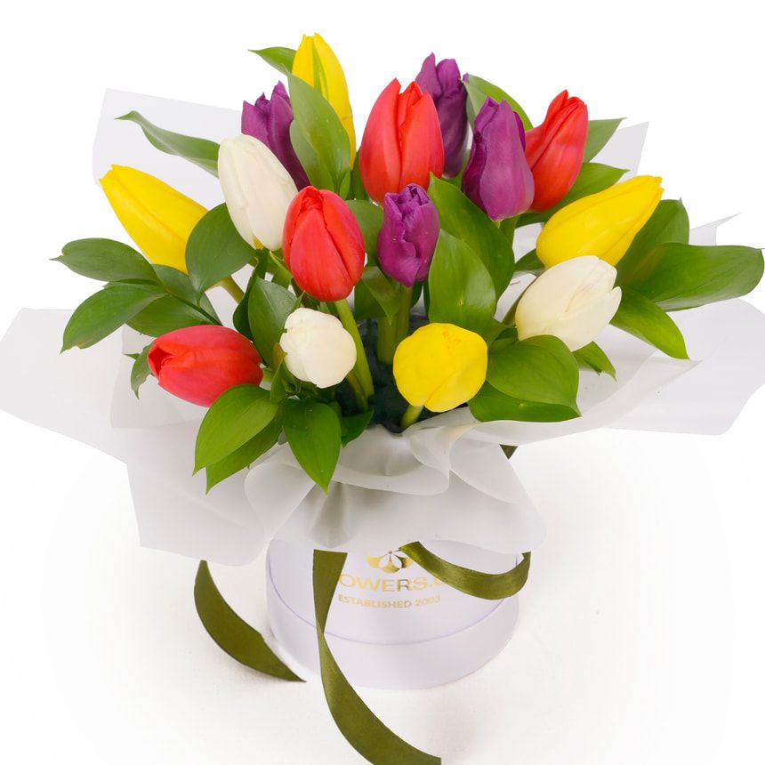 Композиція "Shades of Joy"