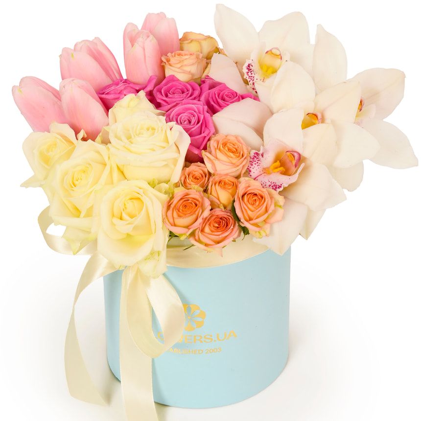 Композиція "Ambitions"