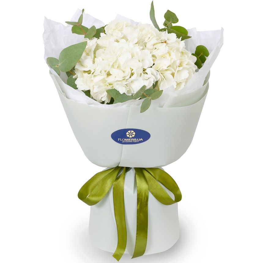 "White hydrangea" bouquet