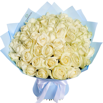 51 біла троянда