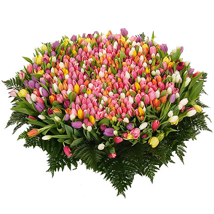 501 різнокольоровий тюльпан – доставка по Україні