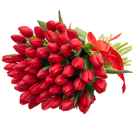 51 червоний тюльпан – замовити з доставкою
