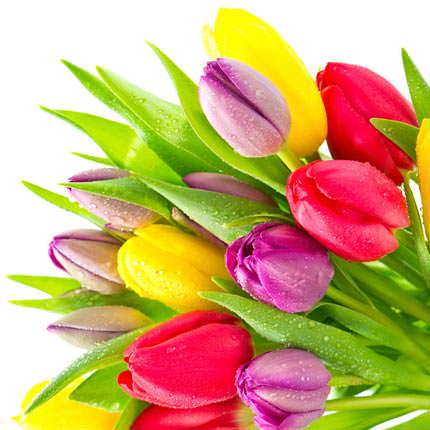 Корзина "101 яркий тюльпан" – заказать с доставкой
