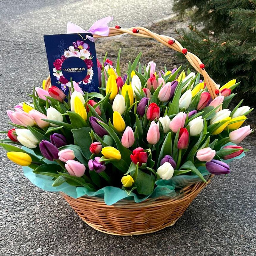 Basket "101 bright tulips" – order from Flowers.ua