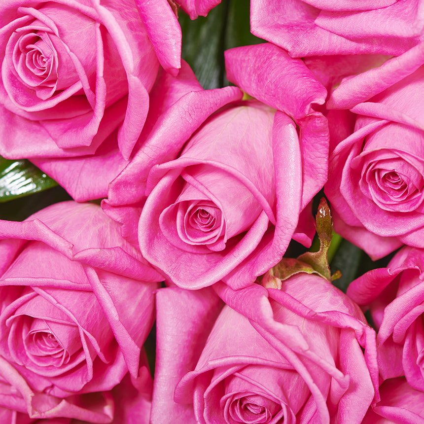 Bouquet of roses "Be with you" – order with delivery