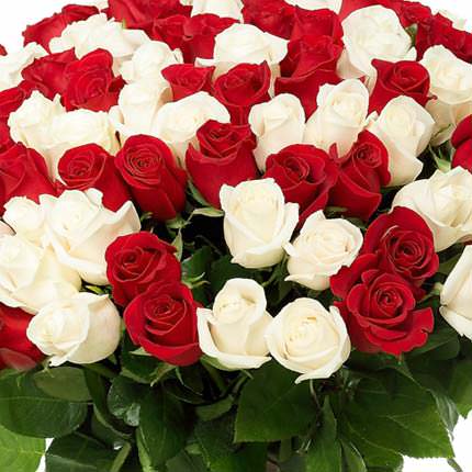 101 червона і біла троянда – доставка по Україні