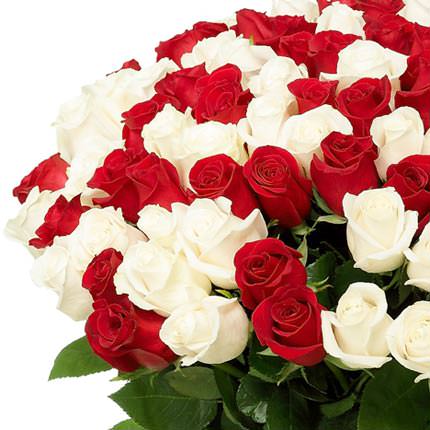 101 червона і біла троянда – замовити з доставкою