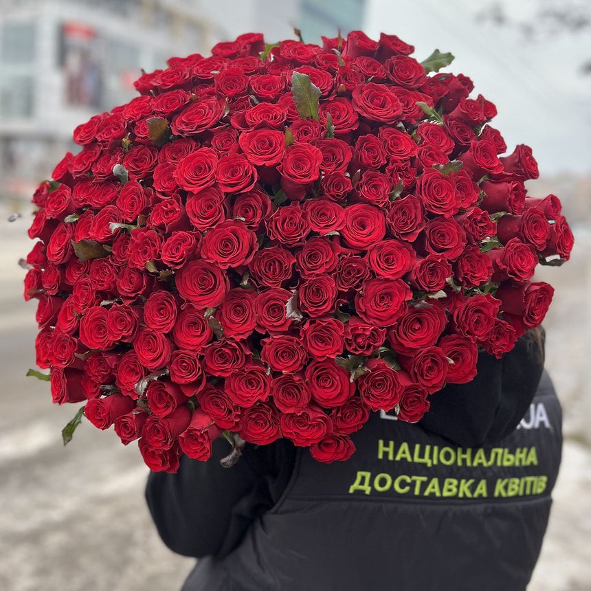 151 red roses – order from Flowers.ua