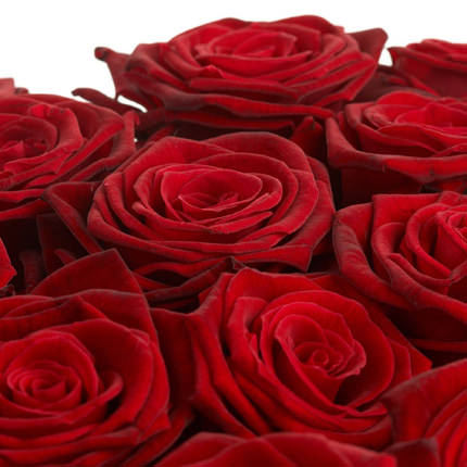 301 red roses – delivery in Ukraine