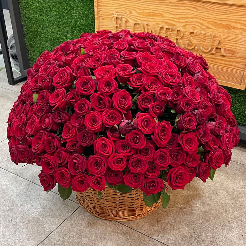 301 красная роза – заказать у Flowers.ua