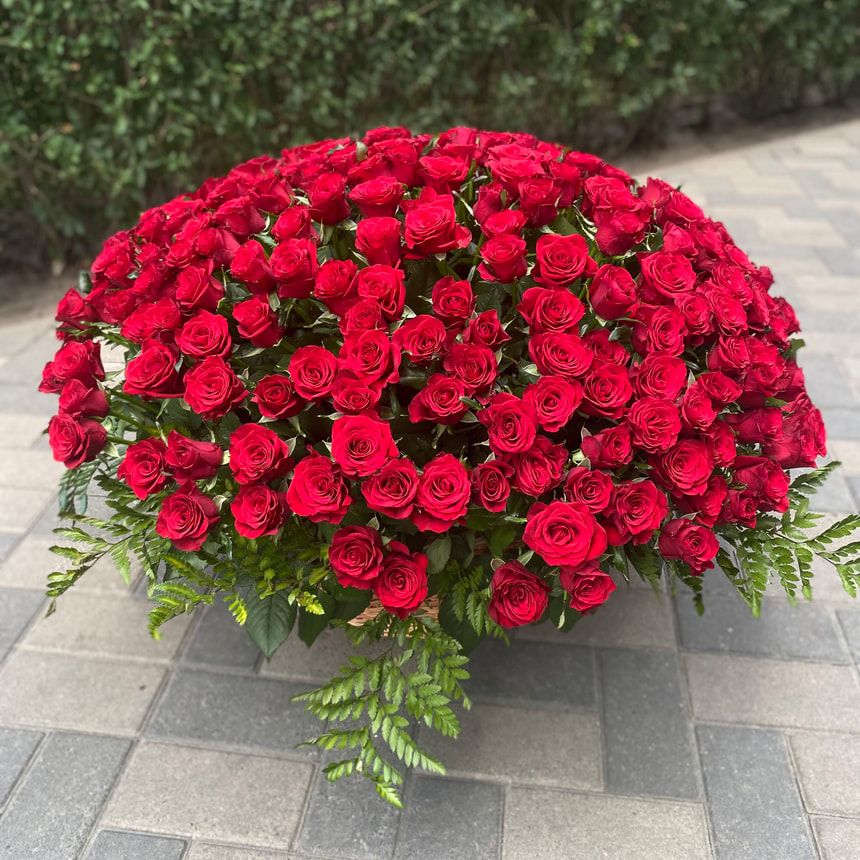 251 красная роза – заказать у Flowers.ua