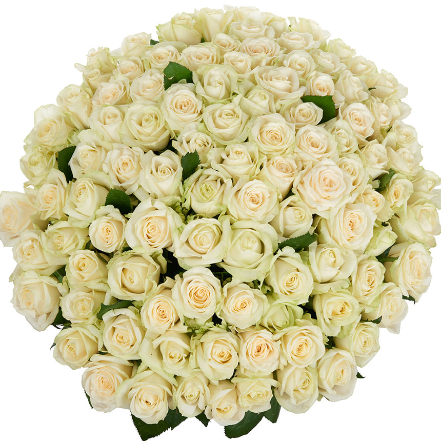 101 біла троянда – замовити з доставкою