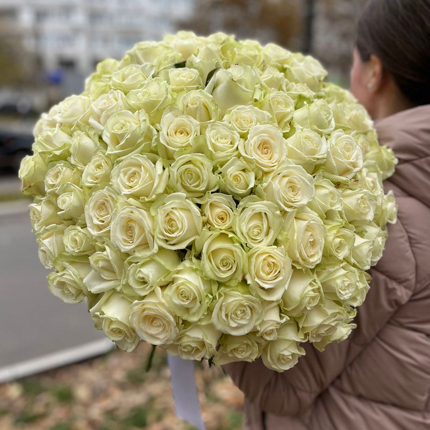 101 белая роза