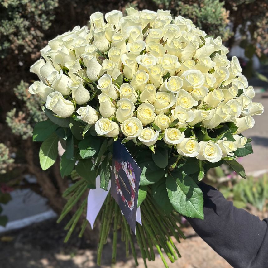 101 white roses