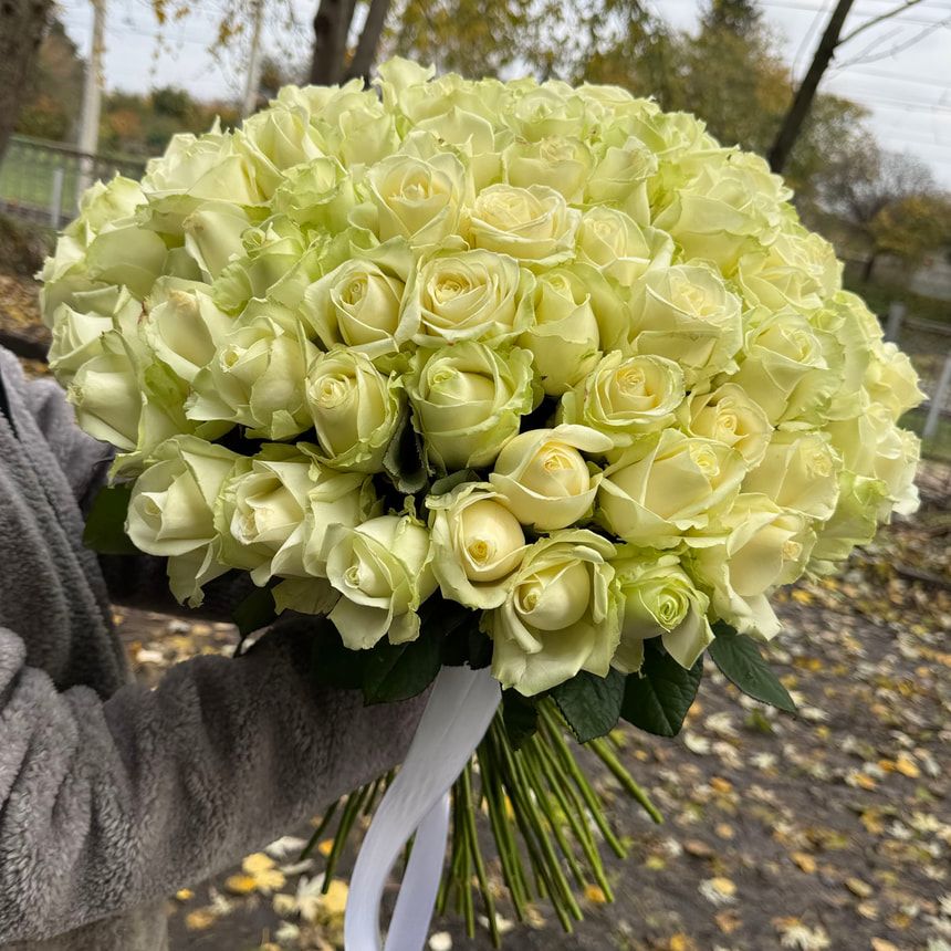 101 white roses