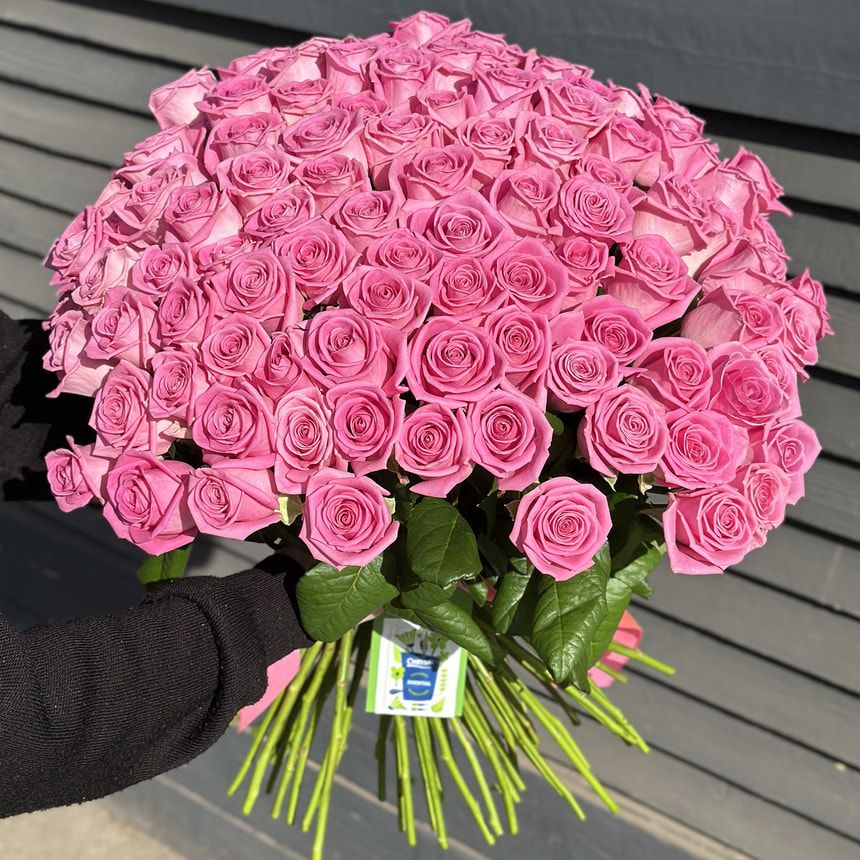 51 pink roses – order from Flowers.ua