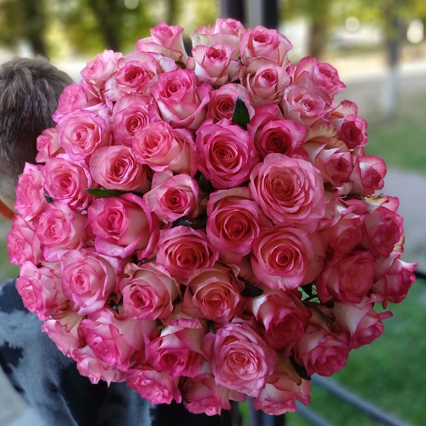 51 розовая роза