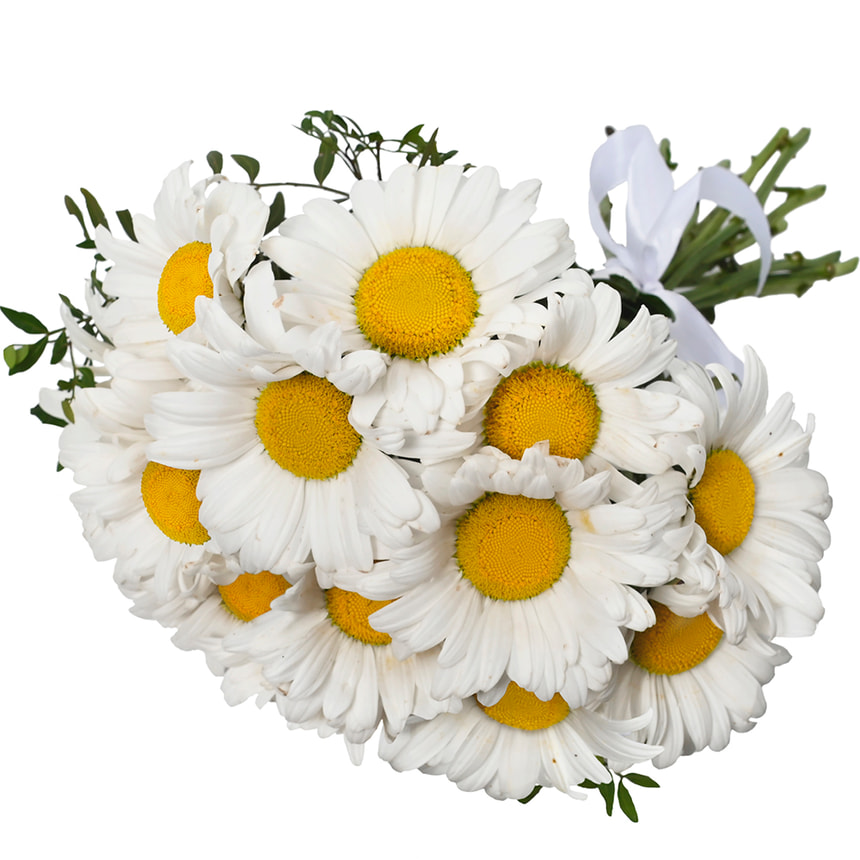 Букет "15 сонячних ромашок" – замовити з доставкою