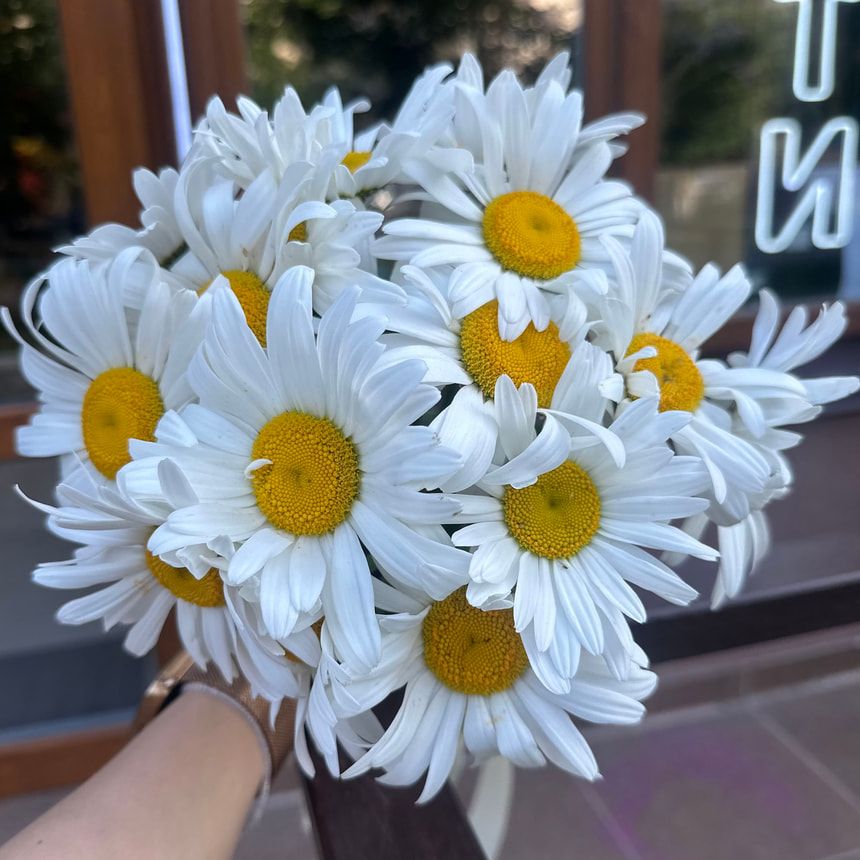 Букет "15 сонячних ромашок" – замовити на Flowers.ua