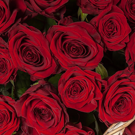 Кошик "51 червона троянда" – доставка по Україні