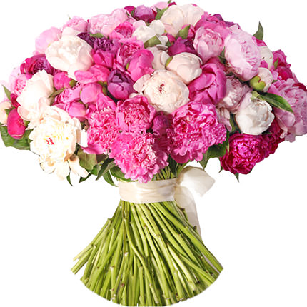 101 multicolored peony – delivery in Ukraine
