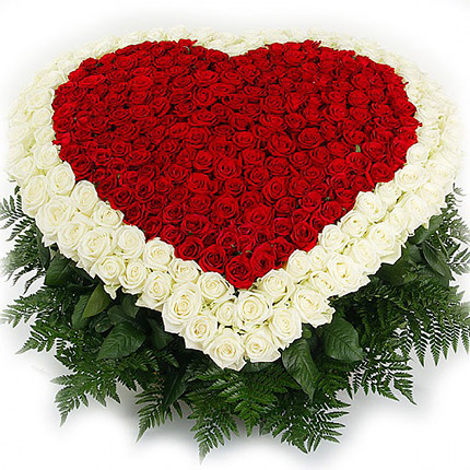 The ocean of roses – delivery in Ukraine