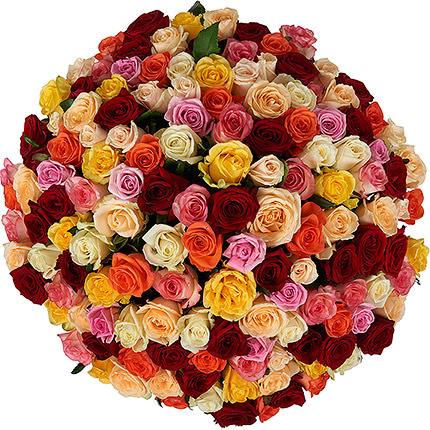151 разноцветная роза – доставка по Украине
